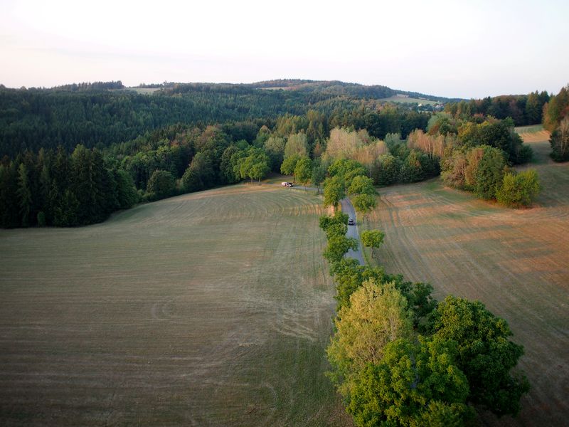 Výhled na krásnou přírodu pokrytou nejrůznějšími stromy